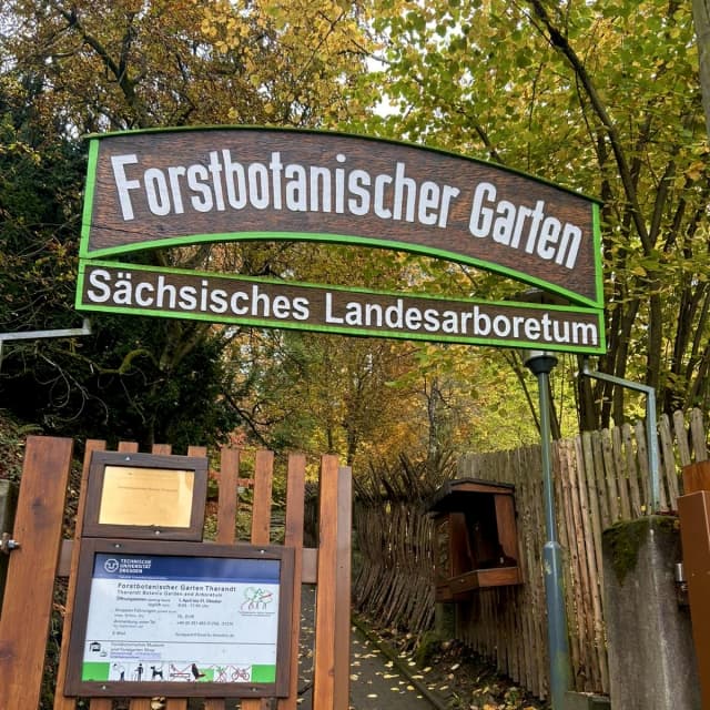 Holzschild mit der Aufschrift „Forstbotanischer Garten – Sächsisches Landesarboretum“ am Eingang des Gartens in Tharandt, umgeben von herbstlicher Natur